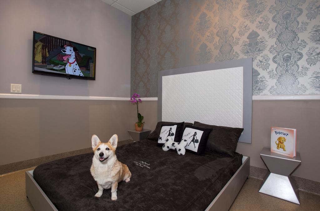 Freer Motel Eksteriør billede